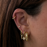 Golden Earrings